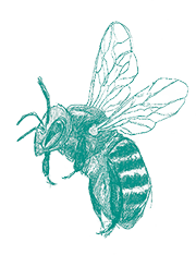 ilustração de uma abelha