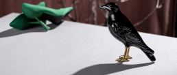 Corvo com sapatos ao fundo